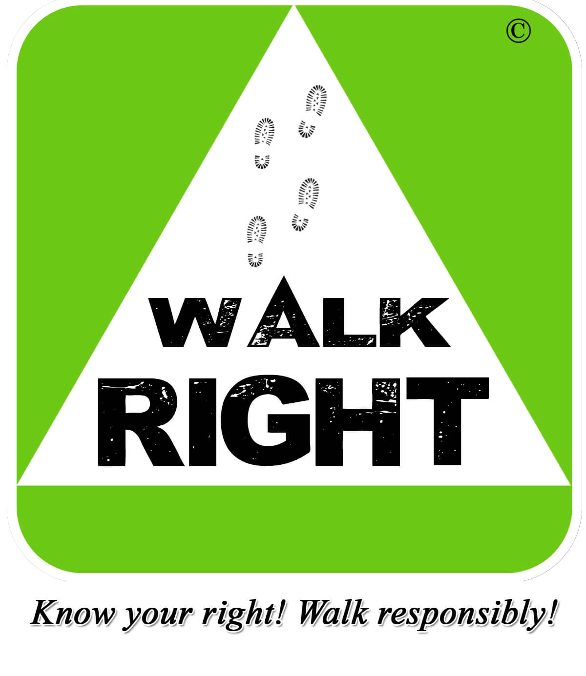 WalkRight activity kit on pedestrian safety